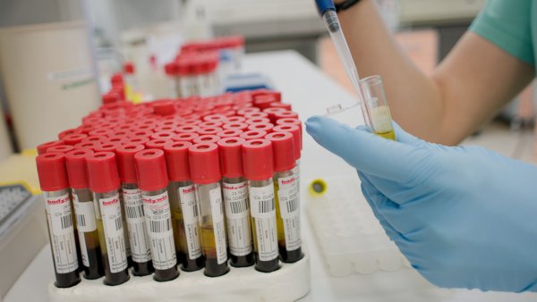 laboratoriya