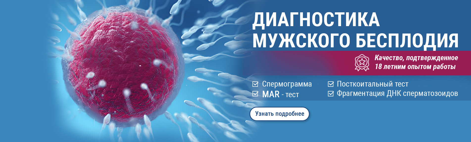Диагностика мужского бесплодия